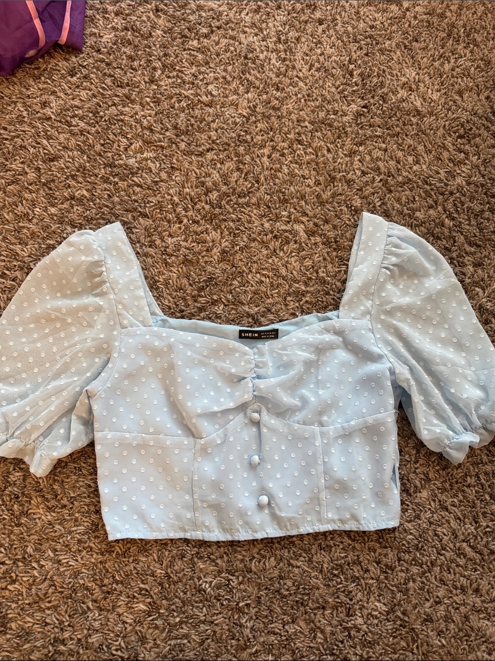 SHEIN Light Blue Swiss Dot Puff Sleeve Crop Top with Front Buttons